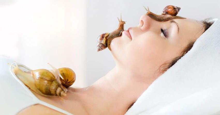 حلزون تراپی و فاید آن برروی پوست